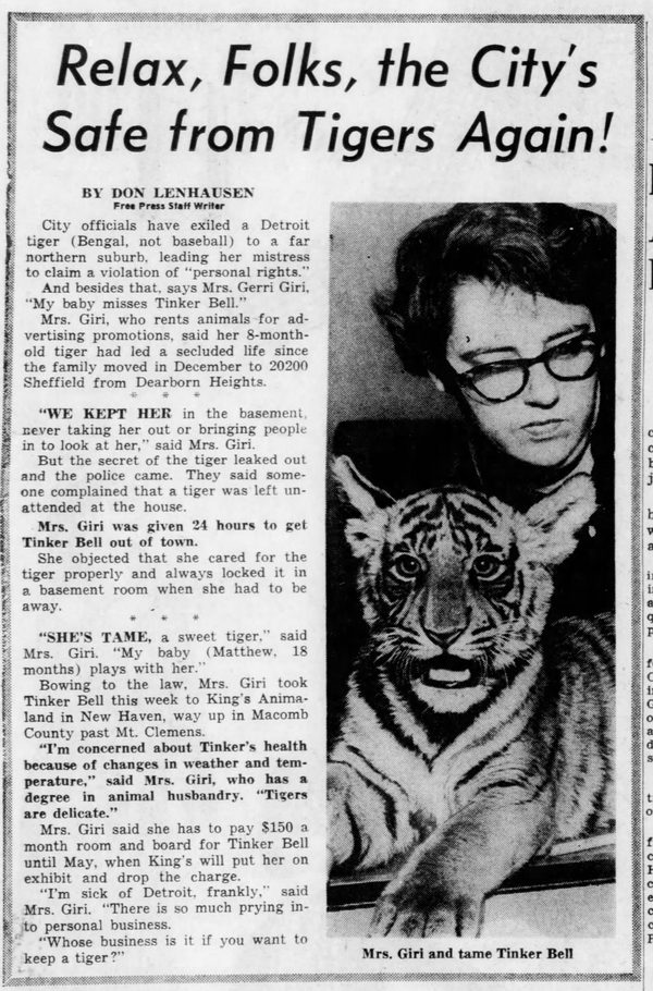 Kings Animaland Park - Mar 12 1965 Tinker Bell The Tiger (newer photo)